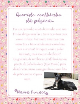 Adote uma cartinha e doe mimos para os cães do Abrigo São Francisco de Assis (16)