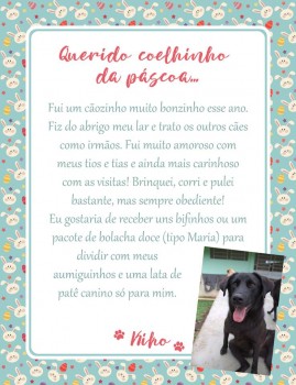 Adote uma cartinha e doe mimos para os cães do Abrigo São Francisco de Assis (17)