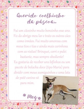 Adote uma cartinha e doe mimos para os cães do Abrigo São Francisco de Assis (19)