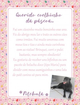 Adote uma cartinha e doe mimos para os cães do Abrigo São Francisco de Assis (20)