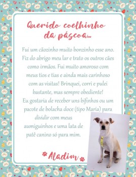 Adote uma cartinha e doe mimos para os cães do Abrigo São Francisco de Assis (21)
