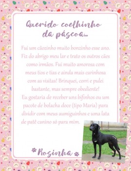 Adote uma cartinha e doe mimos para os cães do Abrigo São Francisco de Assis (22)