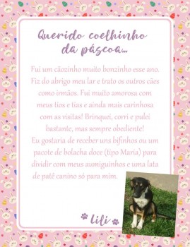 Adote uma cartinha e doe mimos para os cães do Abrigo São Francisco de Assis (23)