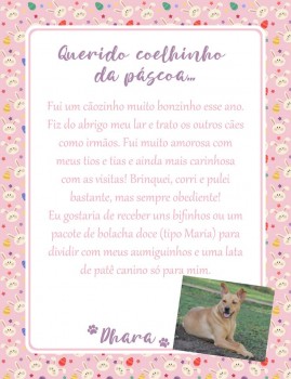 Adote uma cartinha e doe mimos para os cães do Abrigo São Francisco de Assis (24)