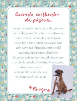 Adote uma cartinha e doe mimos para os cães do Abrigo São Francisco de Assis (27)