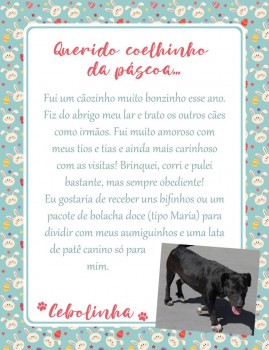 Adote uma cartinha e doe mimos para os cães do Abrigo São Francisco de Assis (28)