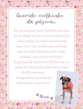 Adote uma cartinha e doe mimos para os cães do Abrigo São Francisco de Assis (30)