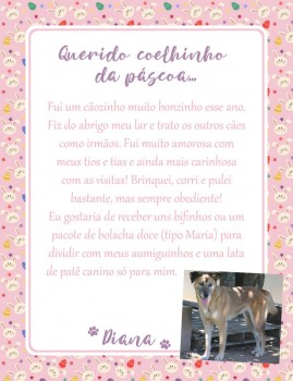 Adote uma cartinha e doe mimos para os cães do Abrigo São Francisco de Assis (31)