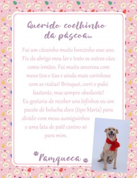 Adote uma cartinha e doe mimos para os cães do Abrigo São Francisco de Assis (32)