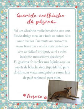 Adote uma cartinha e doe mimos para os cães do Abrigo São Francisco de Assis (34)