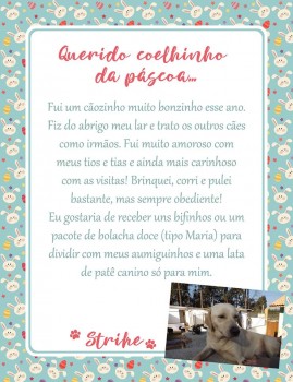 Adote uma cartinha e doe mimos para os cães do Abrigo São Francisco de Assis (35)