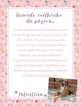 Adote uma cartinha e doe mimos para os cães do Abrigo São Francisco de Assis (36)