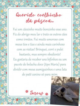 Adote uma cartinha e doe mimos para os cães do Abrigo São Francisco de Assis (37)