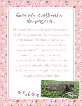 Adote uma cartinha e doe mimos para os cães do Abrigo São Francisco de Assis (38)