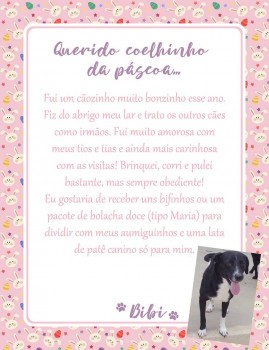 Adote uma cartinha e doe mimos para os cães do Abrigo São Francisco de Assis (39)