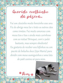 Adote uma cartinha e doe mimos para os cães do Abrigo São Francisco de Assis (4)