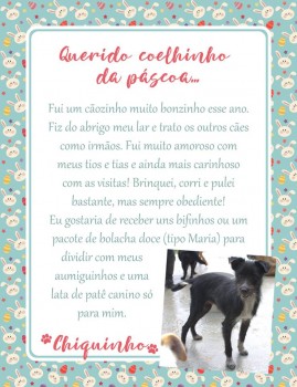 Adote uma cartinha e doe mimos para os cães do Abrigo São Francisco de Assis (5)
