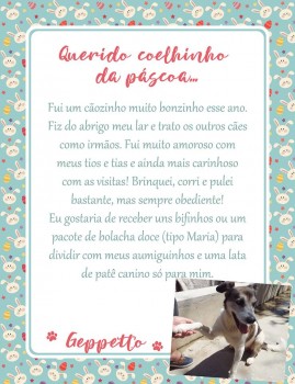 Adote uma cartinha e doe mimos para os cães do Abrigo São Francisco de Assis (6)