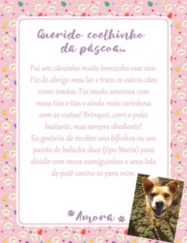 Adote uma cartinha e doe mimos para os cães do Abrigo São Francisco de Assis (8)