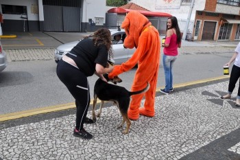 Fotos do 2º Pedágio Solidário do Abrigo de Cães São Francisco de Assis (20)