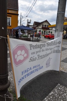 Fotos do 2º Pedágio Solidário do Abrigo de Cães São Francisco de Assis (23)