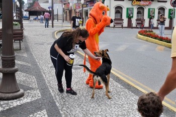 Fotos do 2º Pedágio Solidário do Abrigo de Cães São Francisco de Assis (24)