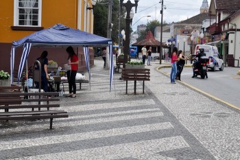 Fotos do 2º Pedágio Solidário do Abrigo de Cães São Francisco de Assis (30)