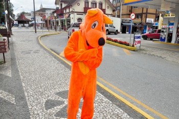 Fotos do 2º Pedágio Solidário do Abrigo de Cães São Francisco de Assis (37)