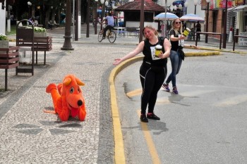 Fotos do 2º Pedágio Solidário do Abrigo de Cães São Francisco de Assis (38)