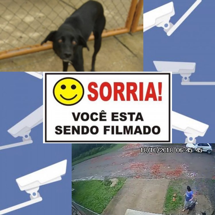 photostudio_1540225918667