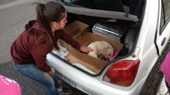 O abrigo em ação! (5)