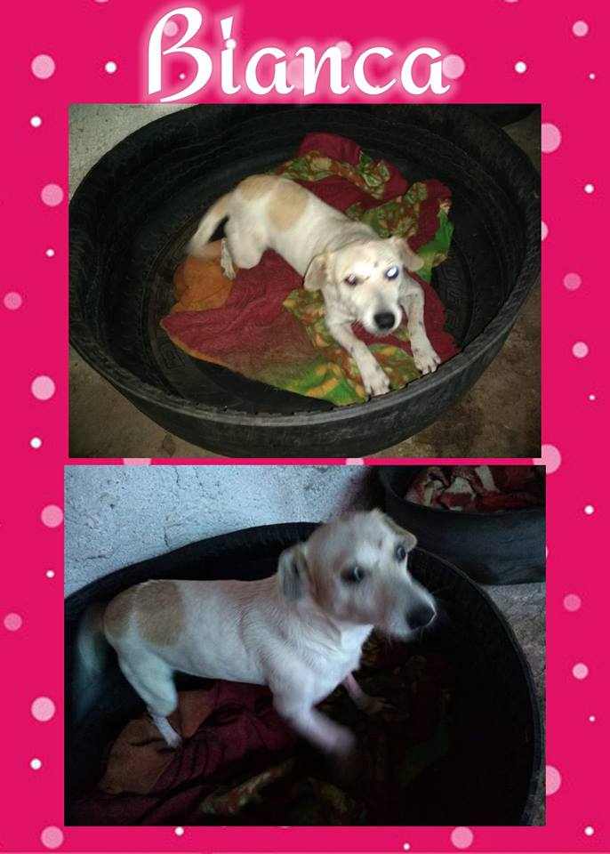 Você tem um espacinho para mim