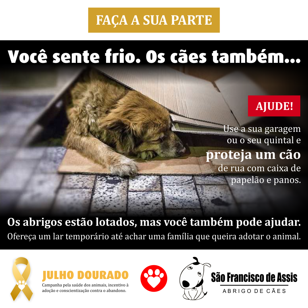 Proteja os cães do frio – Abrigo São Francisco de Assis (1)