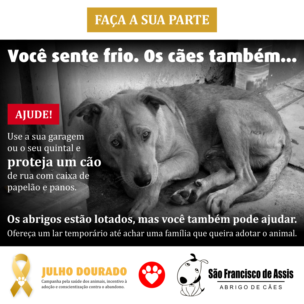 Proteja os cães do frio – Abrigo São Francisco de Assis (2)
