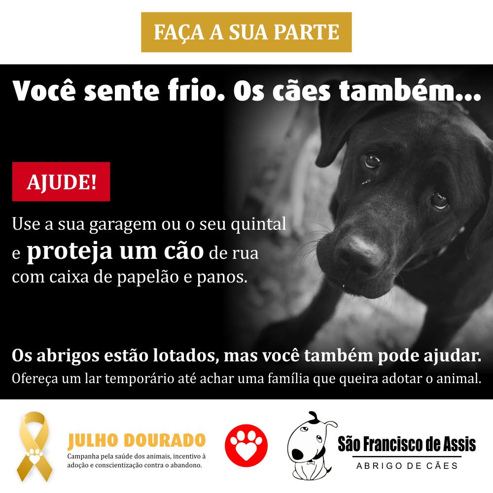 Proteja os cães do frio – Abrigo São Francisco de Assis (3)