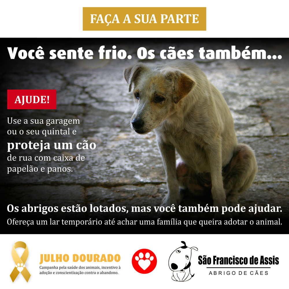 Proteja os cães do frio – Abrigo São Francisco de Assis (5)
