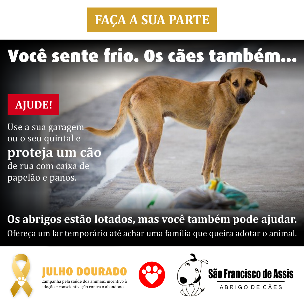 Proteja os cães do frio – Abrigo São Francisco de Assis (6)