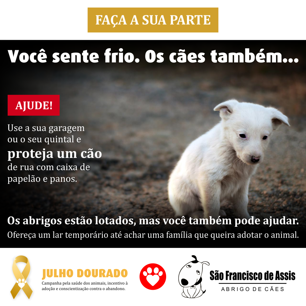 Proteja os cães do frio – Abrigo São Francisco de Assis (7)