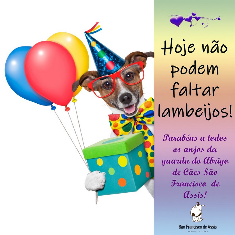 Aniversário do Abrigo de Cães São Francisco de Assis (2)