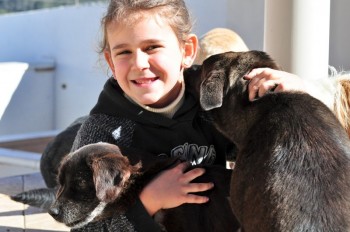 Visitas no Abrigo São Francisco de Assis (03 agosto 2019) (1)