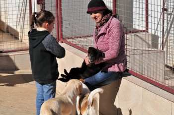 Visitas no Abrigo São Francisco de Assis (03 agosto 2019) (10)