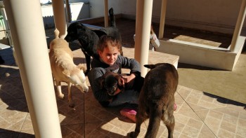 Visitas no Abrigo São Francisco de Assis (03 agosto 2019) (100)