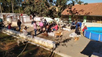 Visitas no Abrigo São Francisco de Assis (03 agosto 2019) (101)