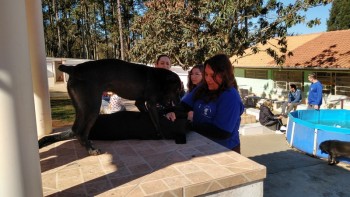 Visitas no Abrigo São Francisco de Assis (03 agosto 2019) (103)