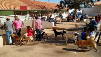Visitas no Abrigo São Francisco de Assis (03 agosto 2019) (106)