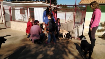 Visitas no Abrigo São Francisco de Assis (03 agosto 2019) (107)