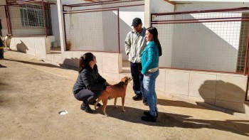 Visitas no Abrigo São Francisco de Assis (03 agosto 2019) (108)