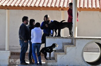 Visitas no Abrigo São Francisco de Assis (03 agosto 2019) (11)
