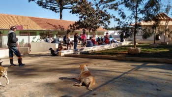 Visitas no Abrigo São Francisco de Assis (03 agosto 2019) (111)