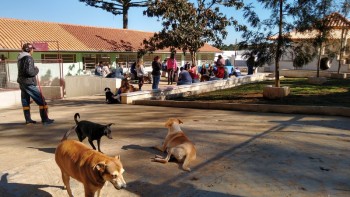 Visitas no Abrigo São Francisco de Assis (03 agosto 2019) (112)